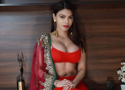 Xxx Video0f Krithi - Sherlyn Chopra granted protection bail by Supreme Court in Porn Film Racket  Case : Bollywood News - Bollywood Hungama