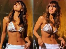 Vaani Kapoor flaunts her washboard abs in printed bikini in scintillating photoshoot, watch video