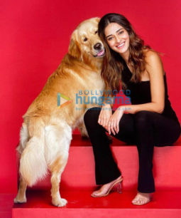 Celeb Photos Of Ananya Panday