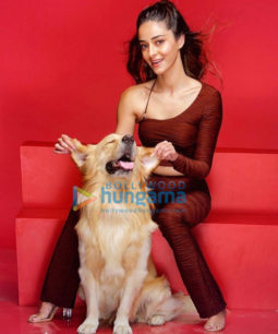 Celeb Photos Of Ananya Panday