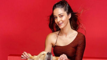 Celeb Photos Of Ananya Panday