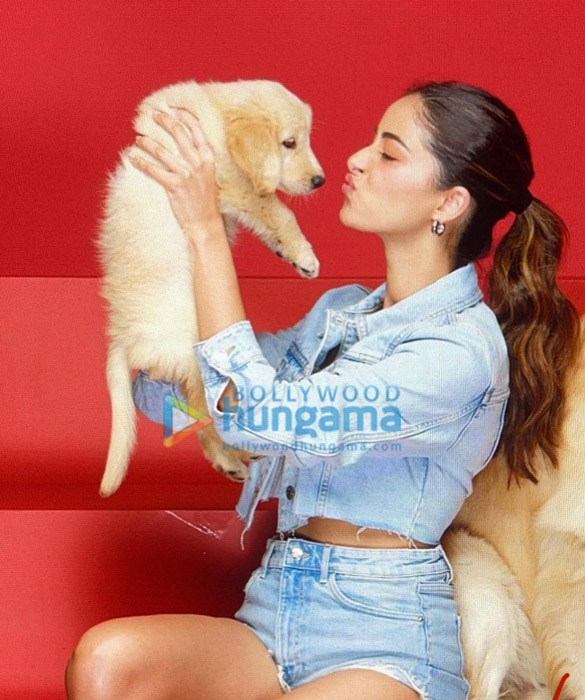 ananya panday 3 74