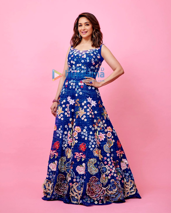 madhuri dixit 2 25