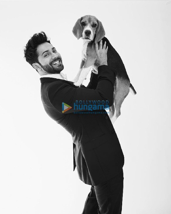 varun dhawan 1 17