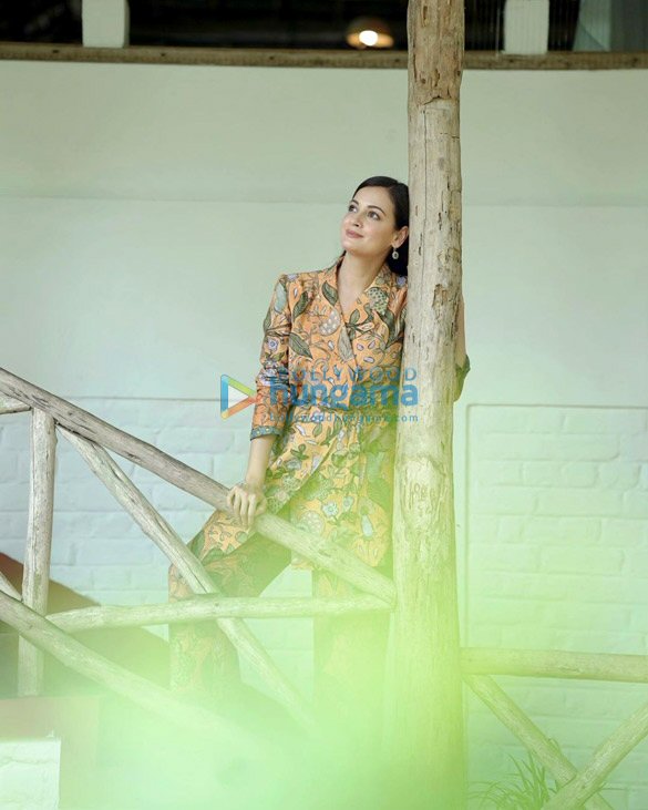 dia mirza 4 6