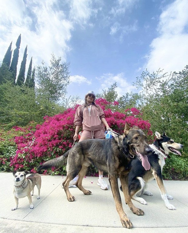Priyanka Chopra opts for peach athleisure and pigtails as she spends Sunday with friends and pups