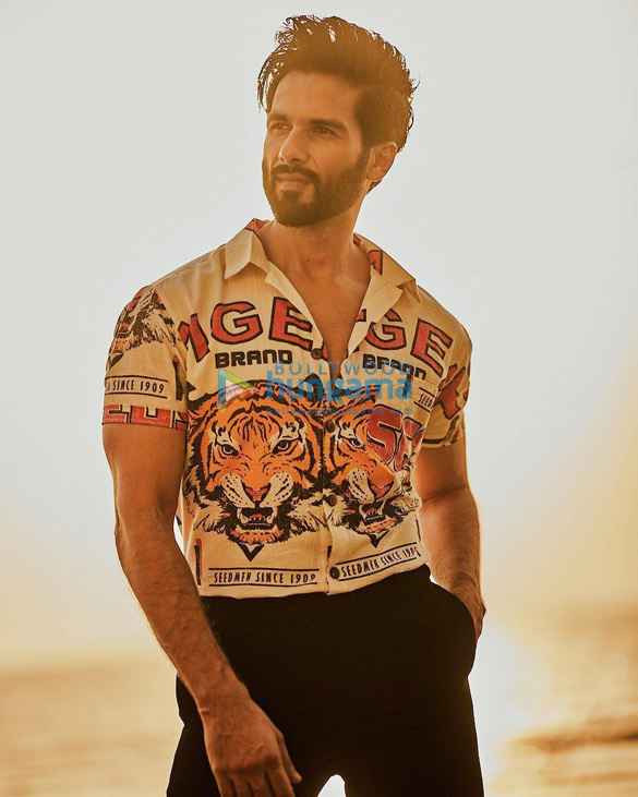 shahid kapoor 744 3