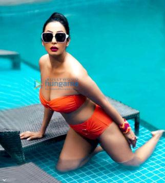 Celebrity Photos of Kashmera Shah
