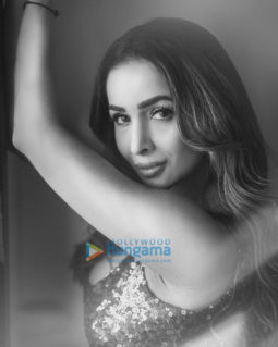 Celebrity Photos of Malaika Arora