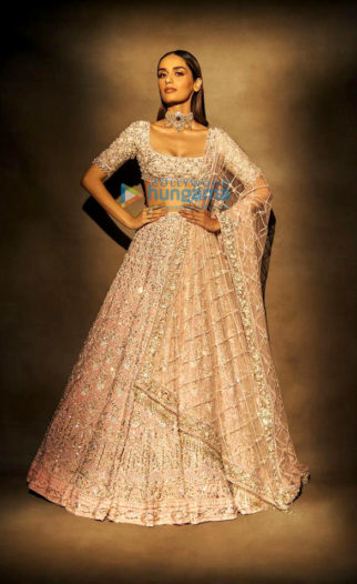Celebrity Photos of Manushi Chhillar