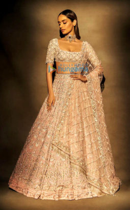 Celebrity Photos of Manushi Chhillar