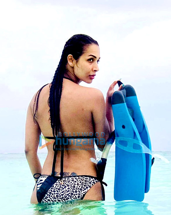 malaika arora 77