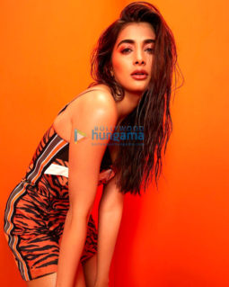 Celeb Photos Of Pooja Hegde