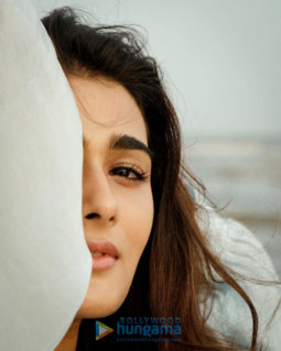 Celebrity Photos of Shalini Pandey