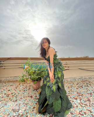 Celebrity Photos of Adah Sharma