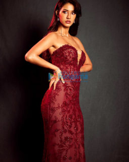 Celebrity Photos of Disha Patani