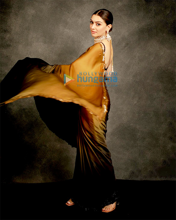 hansika motwani 1 4
