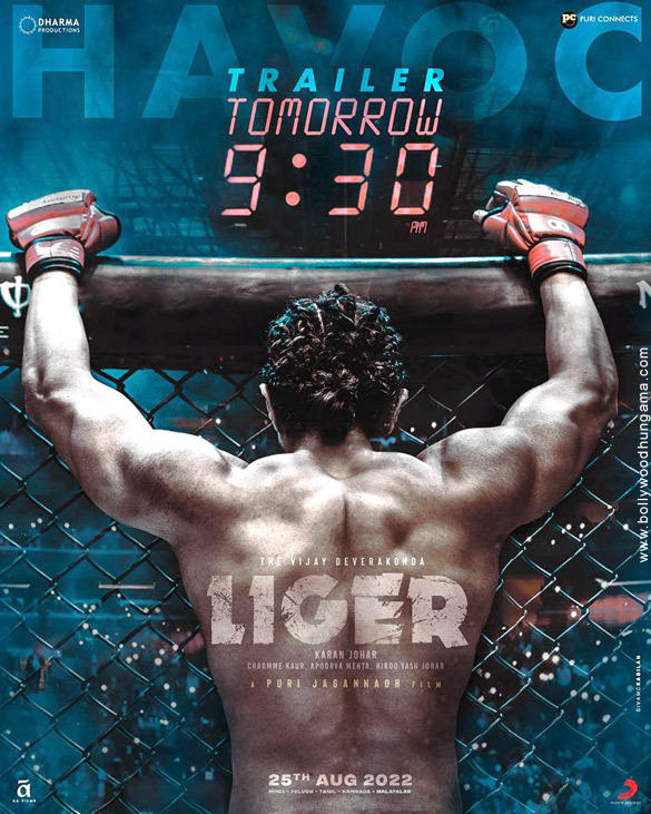 liger 18