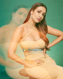 Celeb Photos Of Malaika Arora