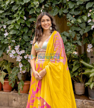 Celeb Photos Of Mrunal Thakur