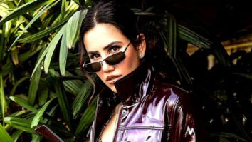 Celeb Photos Of Sonnalli Seygall
