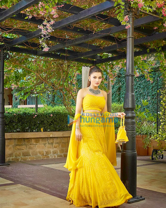 urvashi rautela 2 50