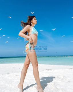Celebrity Photos of Alaya F
