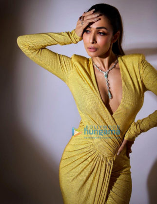 Celebrity Photos of Malaika Arora