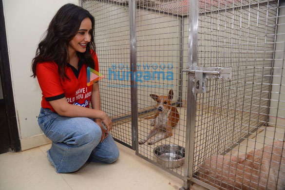 photos neha sharma spotted in khar 11 3