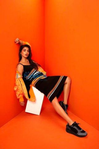 Celebrity Photos of Pooja Hegde