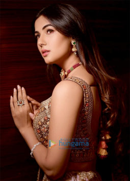 Celeb Photos Of Sonal Chauhan
