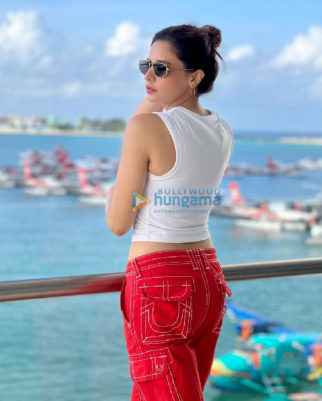 Celeb Photos Of Aamna Sharif