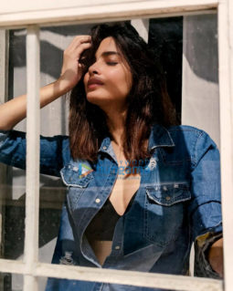 Celebrity Photos of Diana Penty