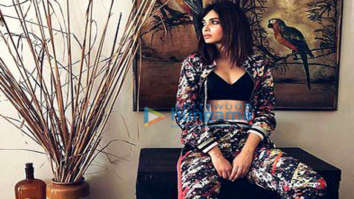 Celebrity Photos of Diana Penty