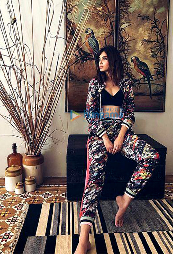 diana penty 5 3