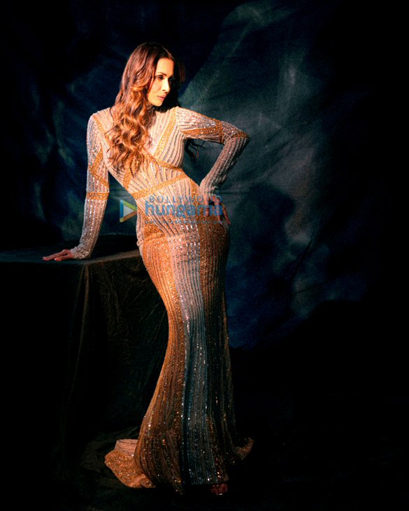 malaika arora 1 142