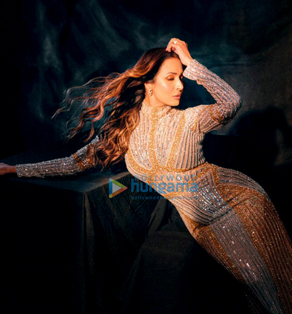 malaika arora 3 106