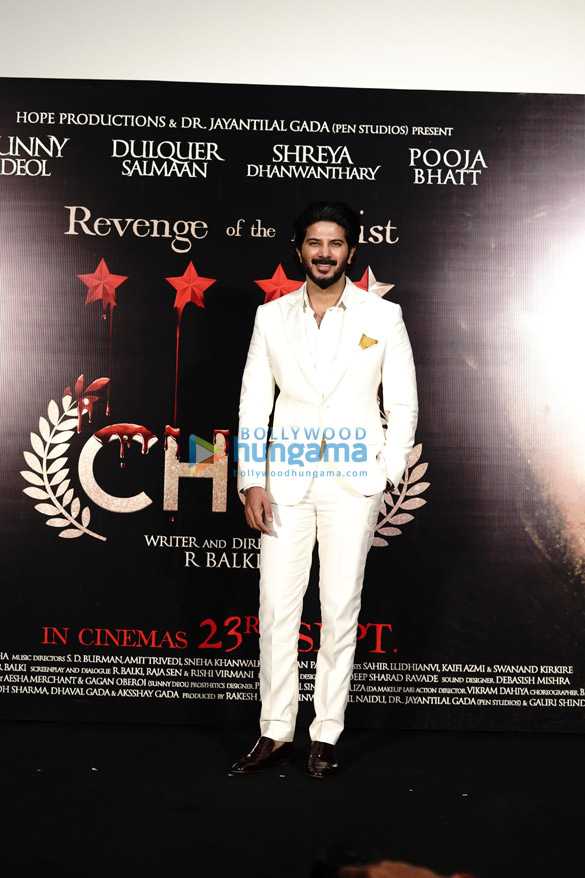 photos celebs attend the screening of sunny deol dulquer salmaan starrer chup 889 2