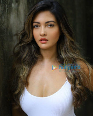 Celebrity Photos of Riya Sen