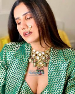 Celeb Photos Of Sonnalli Seygall