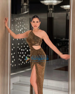 Celebrity Photos of Sonnalli Seygall