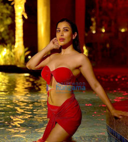 Celeb Photos Of Sophie Choudry