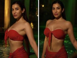 Sophie Choudry is scorching hot in water donning a red bikini outfit