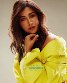 Celebrity Photos of Chitrangda Singh