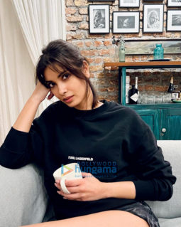 Celebrity Photos of Diana Penty