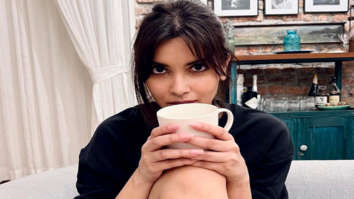 Celebrity Photos of Diana Penty