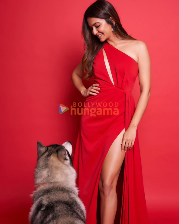 kriti kharbanda 2 21