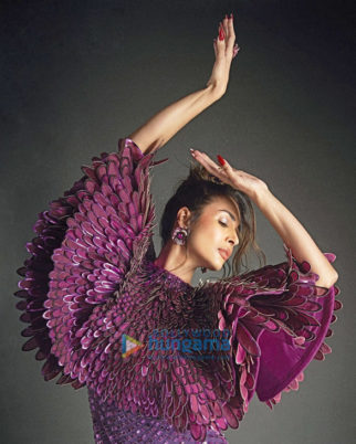 Celebrity Photos of Malaika Arora