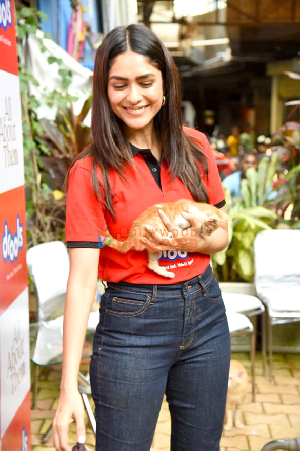 photos mrunal thakur hosts a food donation drive for stray animals 000 5