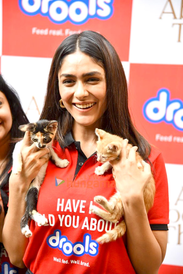 Photos: Mrunal Thakur hosts a food donation drive for stray animals